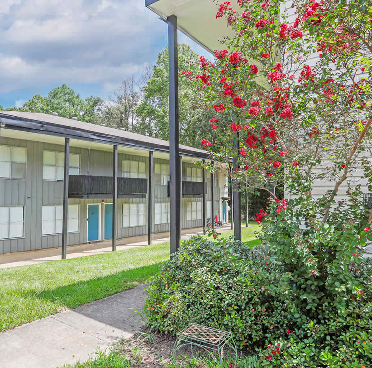 Plenty of Activities